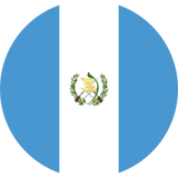 UOF Race Evo Air Brush Design Helmet Custom Ordered