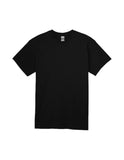 Embroidered T-shirt with horse designs