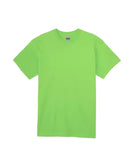 Embroidered T-shirt with horse designs
