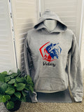 Embroidered Fleece Hoodie back Design