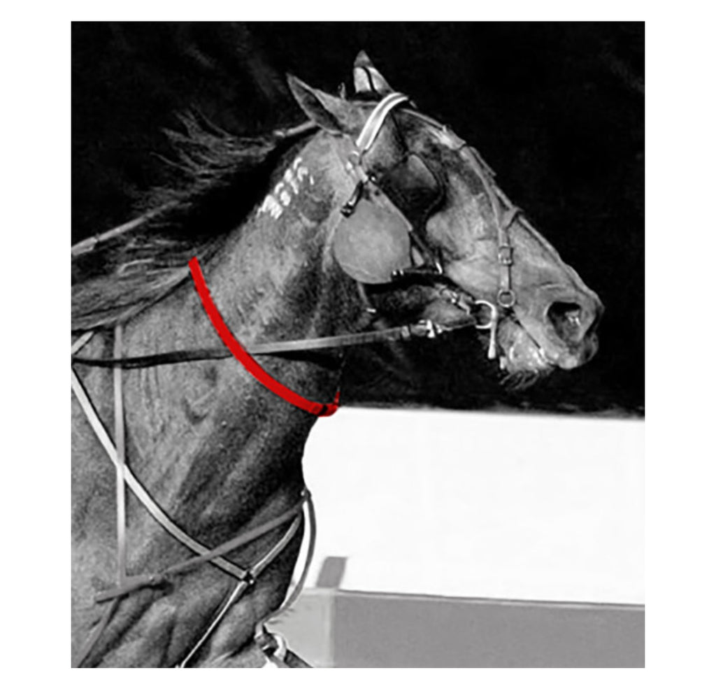 Breaking Neck Strap