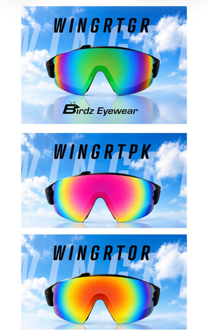 Birdz Wing goggles