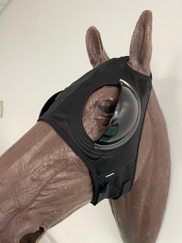 Blinkers  Available