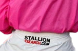 Racer QH Stallion Search Pants
